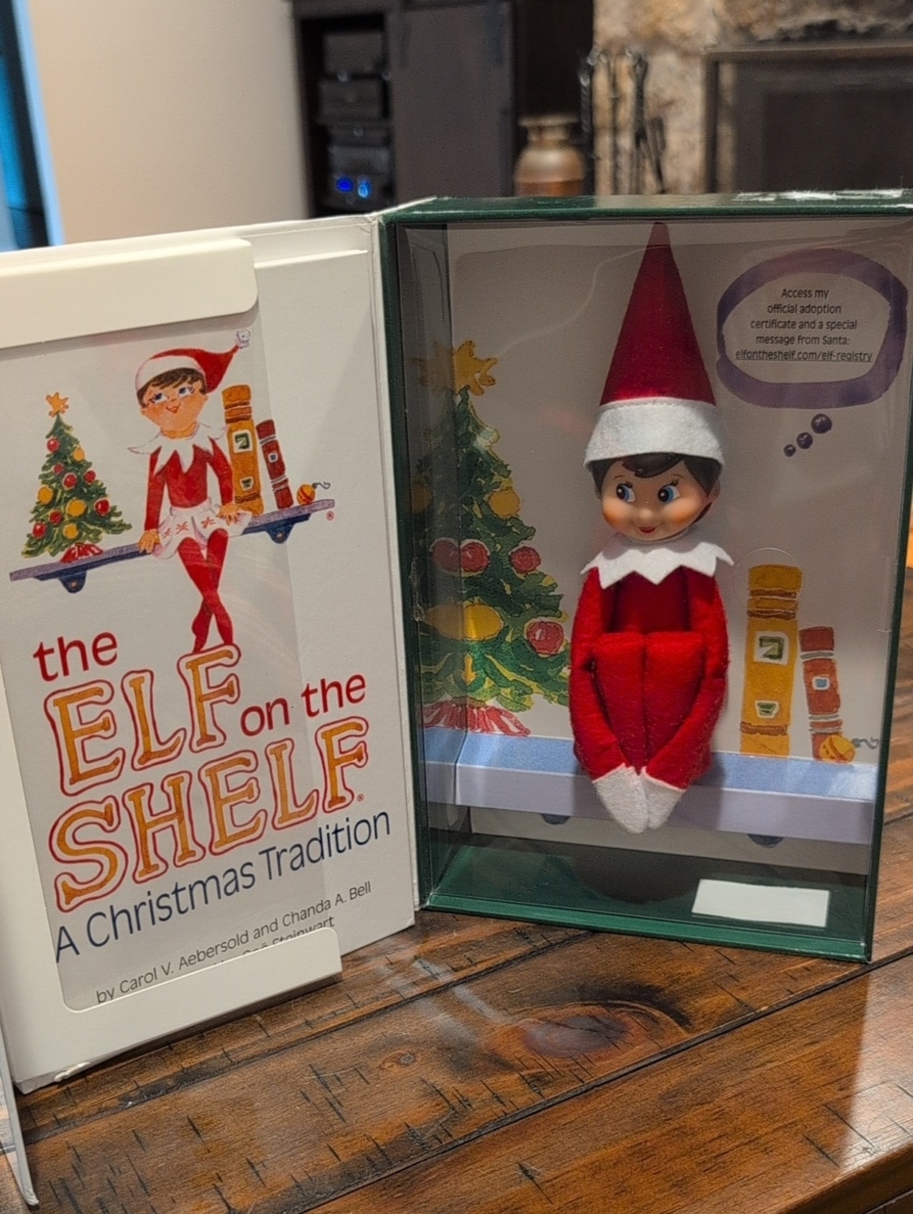 Elf On The Shelf Girl NWT Christmas